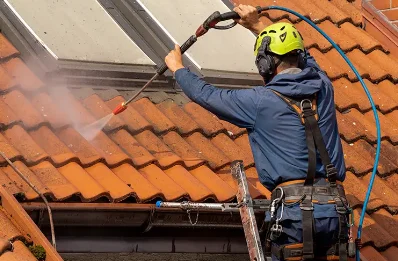 Démoussage et hydrofuge de toiture à Sornac